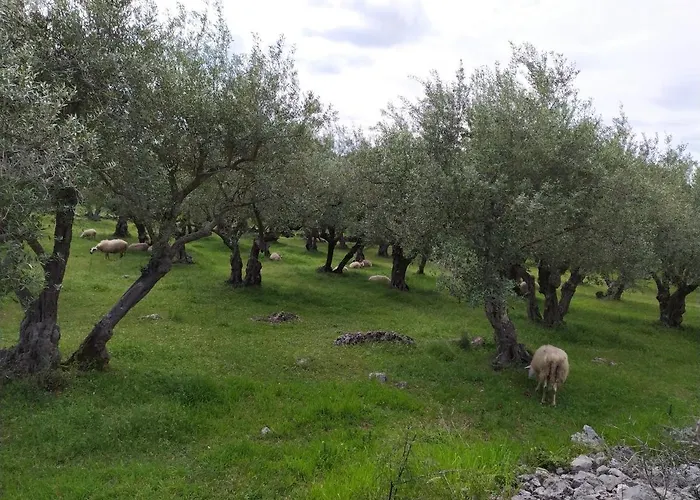 Krk Glamping Village