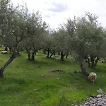 Krk Glamping Village