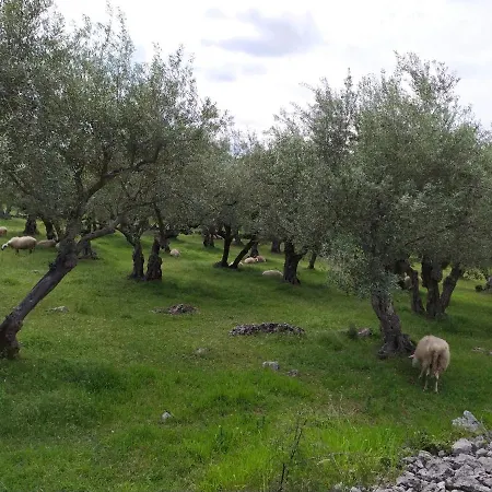 Krk Glamping Village